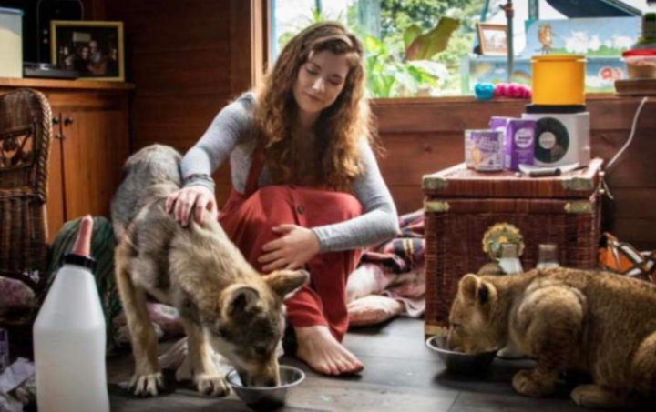 Возвращение «Хатико» и еще 5 фильмов о преданности и дружбе с животными