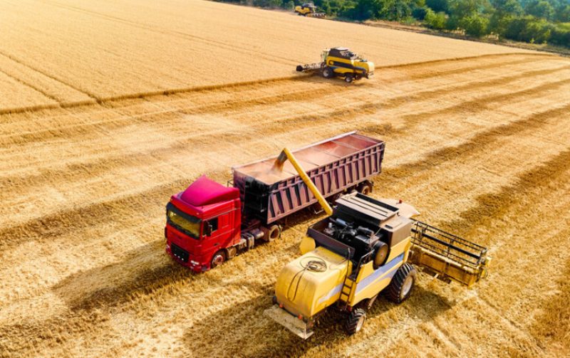 В Минсельхозе России сообщили, что собрали более 100 млн тонн зерна
