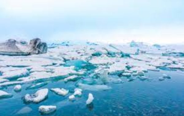 Арктика может лишиться льда в течение пяти лет
