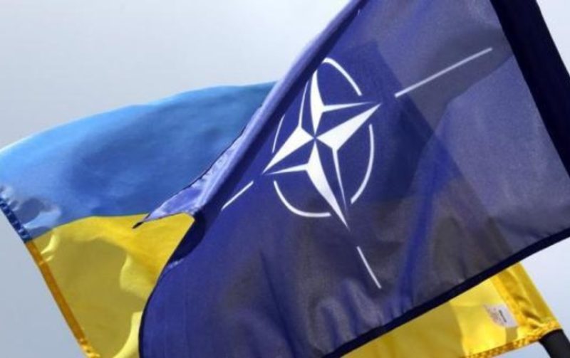 Страны-союзники просят власти Украины не требовать от НАТО полноценного членства