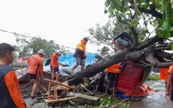 В Китае из-за тайфуна эвакуировали более 124 тысяч человек